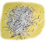 Porcupine Quills - Natural White
