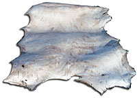 Elk Rawhide - Whole Hide