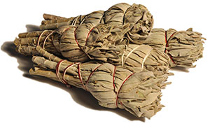 California White Sage Bundles - Minis