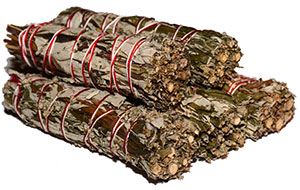 Mugwort Bundle - Minis