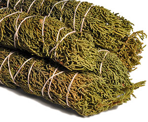 Juniper Bundles