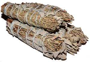 California White Sage / Big Sagebrush Bundles - Minis