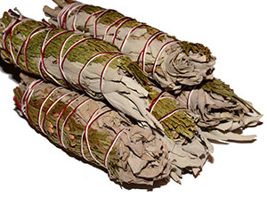 California White Sage / Cedar Bundles - Minis