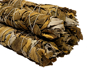 California White Sage / Yerba Santa Bundles