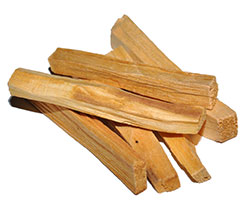 Palo Santo 