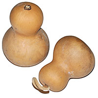 Bell Gourds