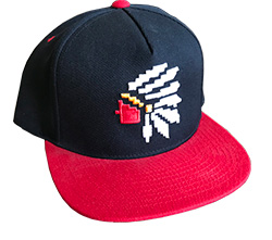 The NTVS Cap - 8Bit Chief