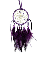 Dream Catcher - 2.5