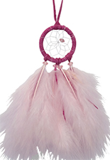 Dream Catcher - 1.5