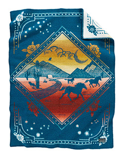 Pendleton Child's Blanket - Wind Riders