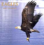 2007 Wall Calendar - Eagles