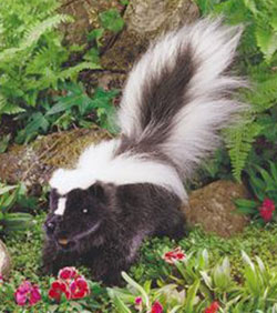 Folkmanis Plush Hand Puppet - Skunk