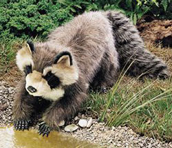 Folkmanis Plush Hand Puppet - Large Raccoon