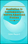Mediation In Contemporary Native American Fiction